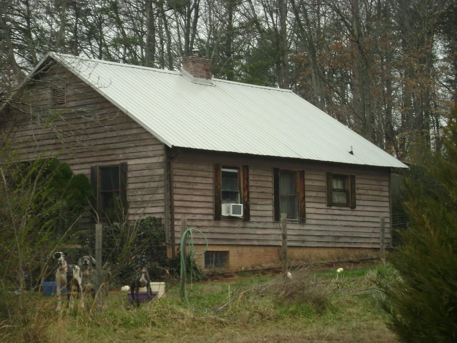 White metal roof on an old wood sided farmhouse, from a Asphalt Shingle Roof Repair job in Richwood